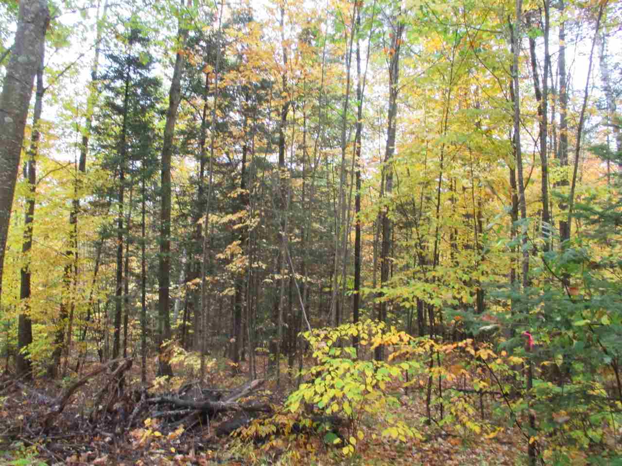 603 Faraway Road Dalton, NH 03598 - Photo 10 of 37