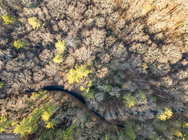 a view of a forest with a shower