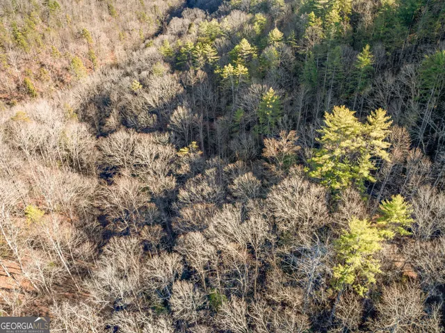 a view of a city with mountains in the background