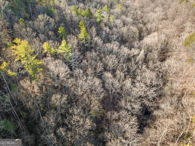 a view of city and mountain