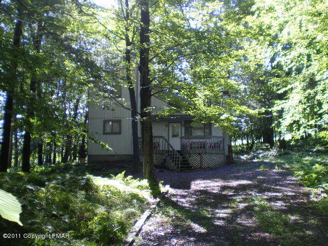 335 Fawn Road Pocono Lake, PA 18347 - Photo 1 of 12 a backyard of a house with lots of green space