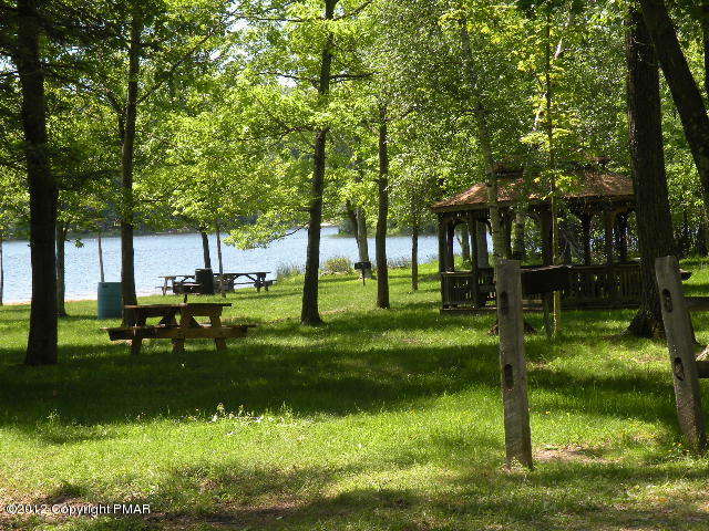 335 Fawn Road Pocono Lake, PA 18347 - Photo 11 of 12 a view of a park with large trees