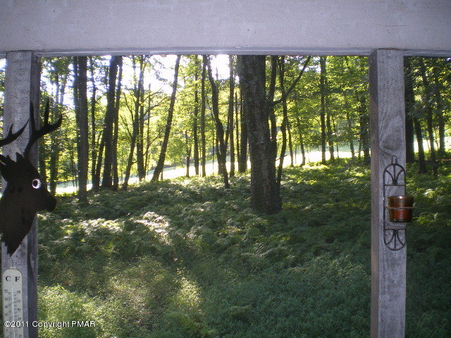 335 Fawn Road Pocono Lake, PA 18347 - Photo 7 of 12