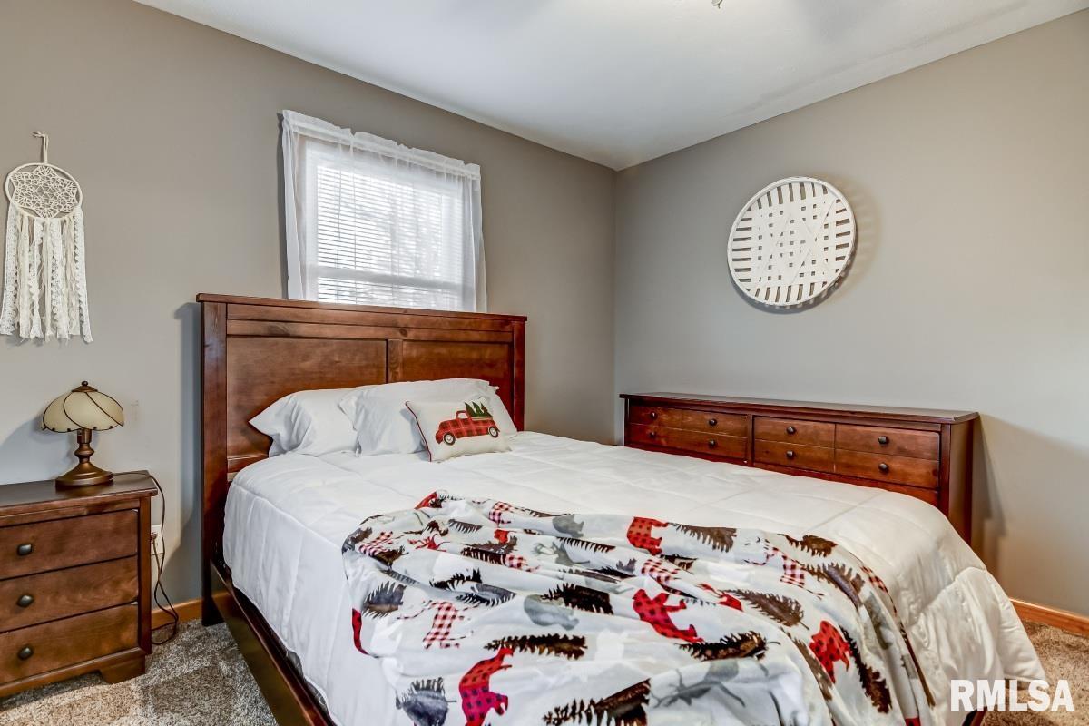 11145 Green Ridge Lane Dawson, IL 62520 - Photo 22 of 39 Gallery Image 22
