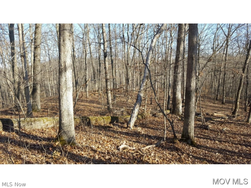 1980 Youba Ridge Road Coolville, OH 45723 - Photo 3 of 7 Gallery Image 3