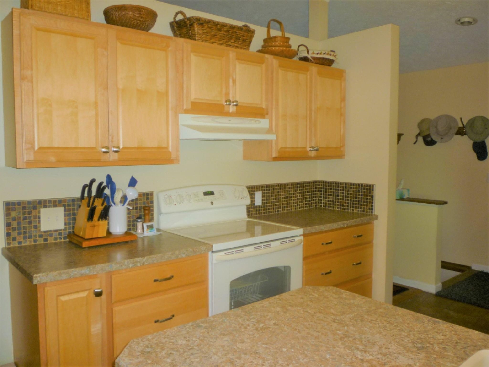 3657 Johnson Road Gowen, MI 49326 - Photo 3 of 20 Kitchen