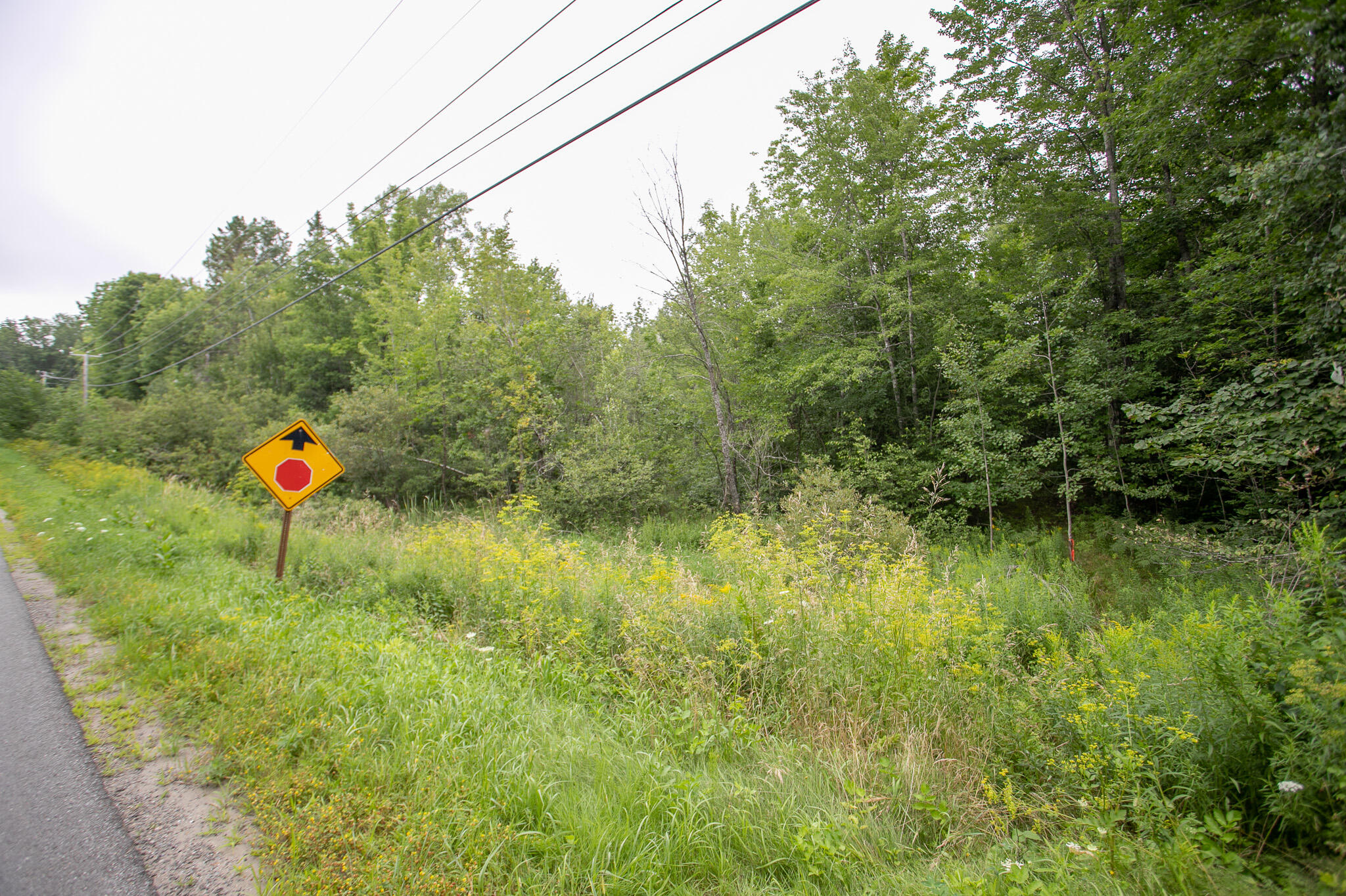 Lot 44-6 Five Road Carmel, ME 04419 - Photo 3 of 21 IMG_0477