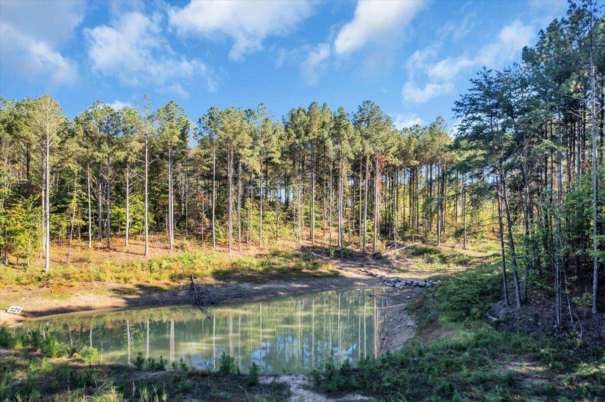 0 Birds Eye Way, Unit 1102 Guild, TN 37340 - Photo 8 of 18 08-DJI_0818