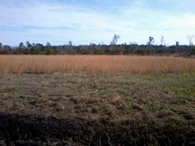 Lot 7 West G Road Loris, SC 29569 - Photo 2 of 4 Gallery Image 2