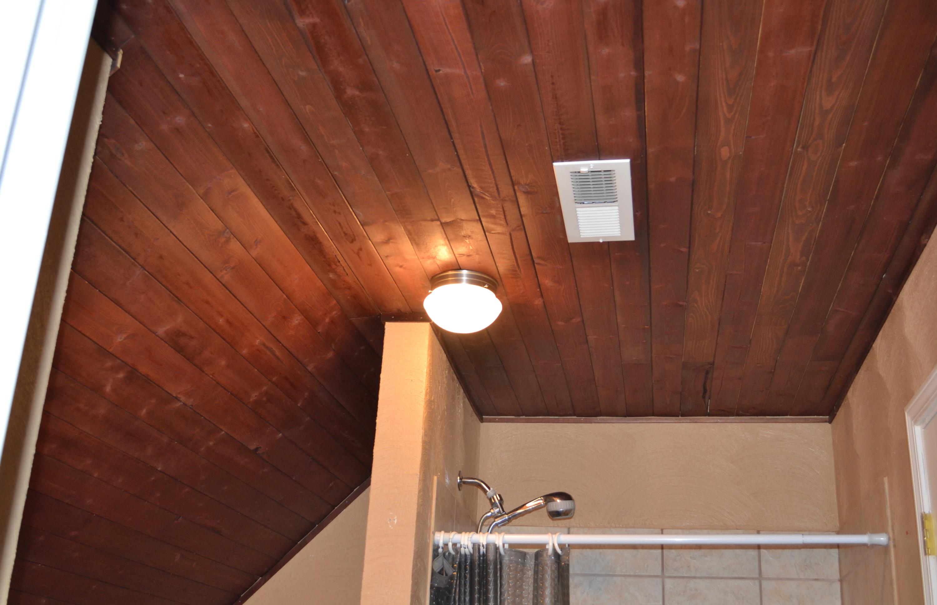 175 Kay Fork Road Union Hall, VA 24176 - Photo 37 of 62 Upper Level Bath Ceiling