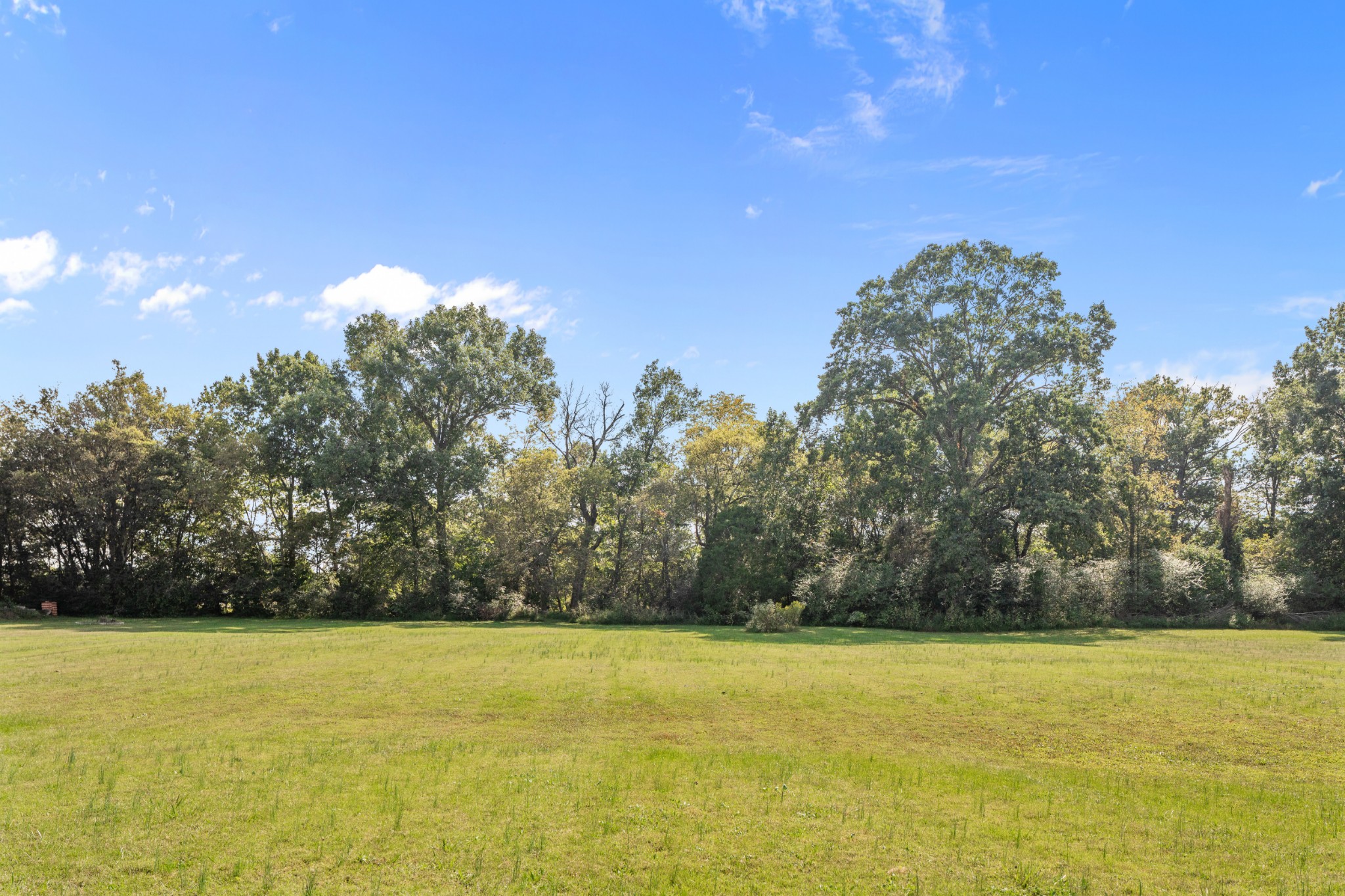 340 Double Log Cabin Road Lebanon, TN 37087 - Photo 48 of 50 a view of a yard