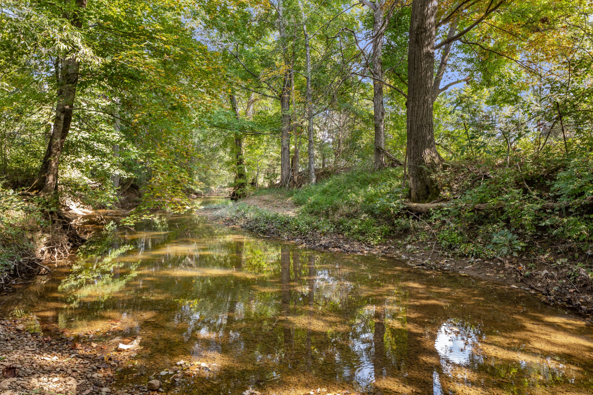 340 Double Log Cabin Road Lebanon, TN 37087 - Photo 50 of 50 a view of a yard with plants and large trees