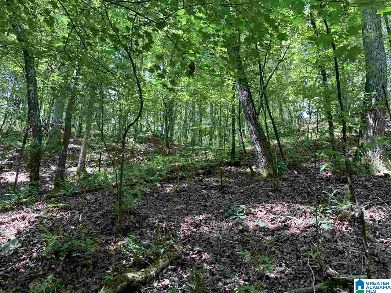 0 Brown Road Calera, AL 35040 - Photo 11 of 18