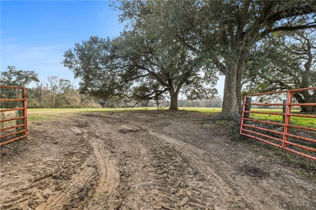 255 J P Thomas Road Amite, LA 70422 - Photo 3 of 21 Gallery Image 3
