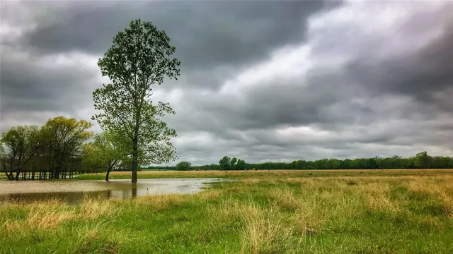 a view of a lake view with a yard