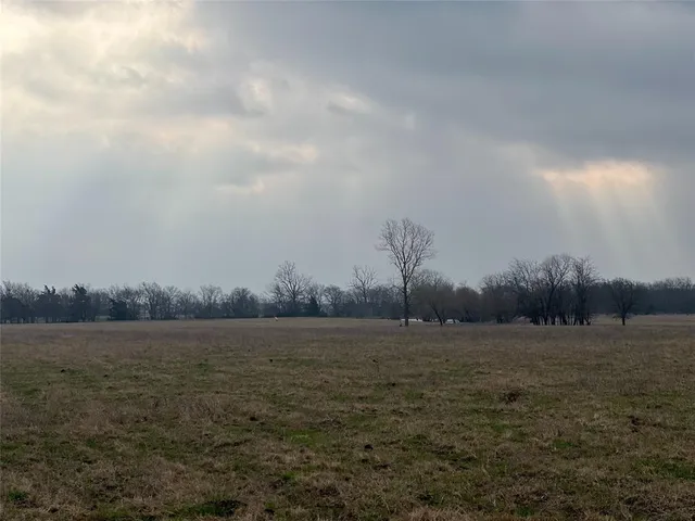 a view of ocean with large trees