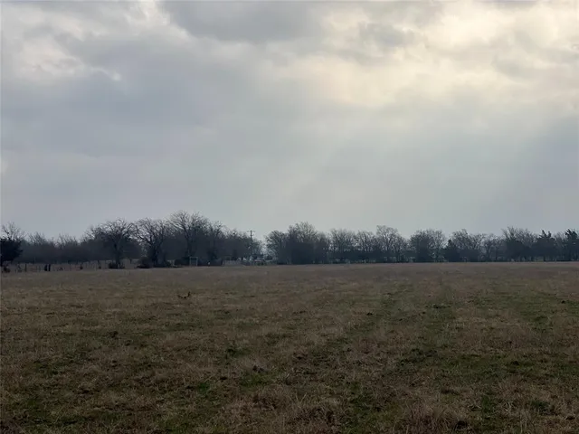 a view of park and trees