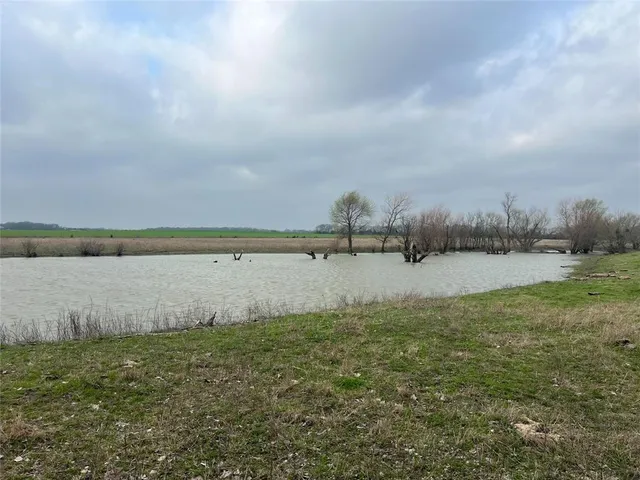 a view of a lake from a yard