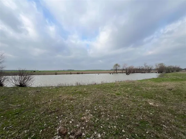 a view of a lake from a yard