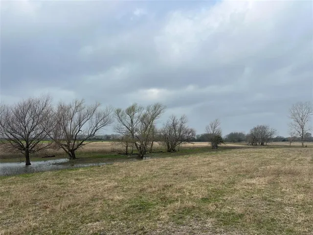 a view of a field with trees in background