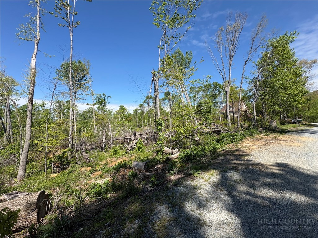 Lot #41 Lost Ridge Trail Vilas, NC 28692 - Photo 5 of 8