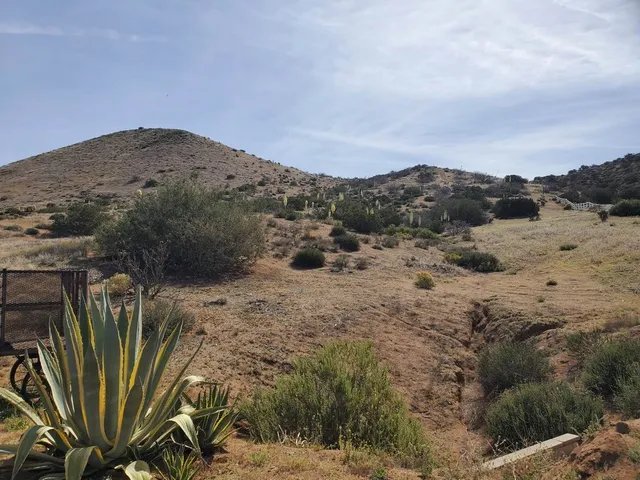 a view of a dry yard with mountains