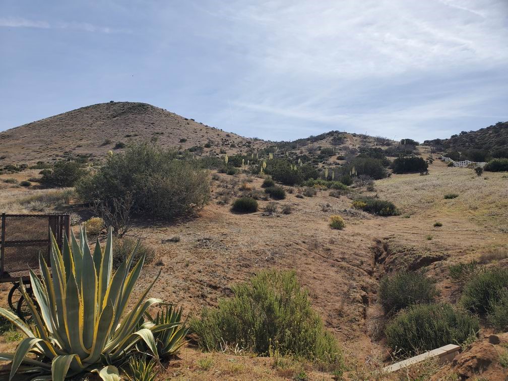 0 White Feather Road Acton, CA 93510 - Photo 18 of 24 a view of a dry yard with mountains