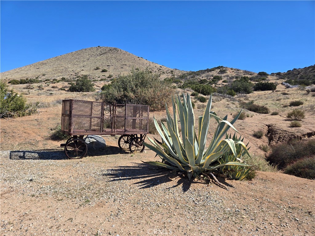 0 White Feather Road Acton, CA 93510 - Photo 23 of 24 a view of a backyard with plants and a bench