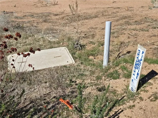 a view of a dry yard with wooden fence