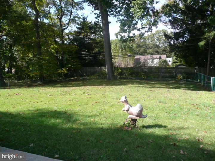 118 Barren Road Newtown Square, PA 19073 - Photo 3 of 21 Back Yard