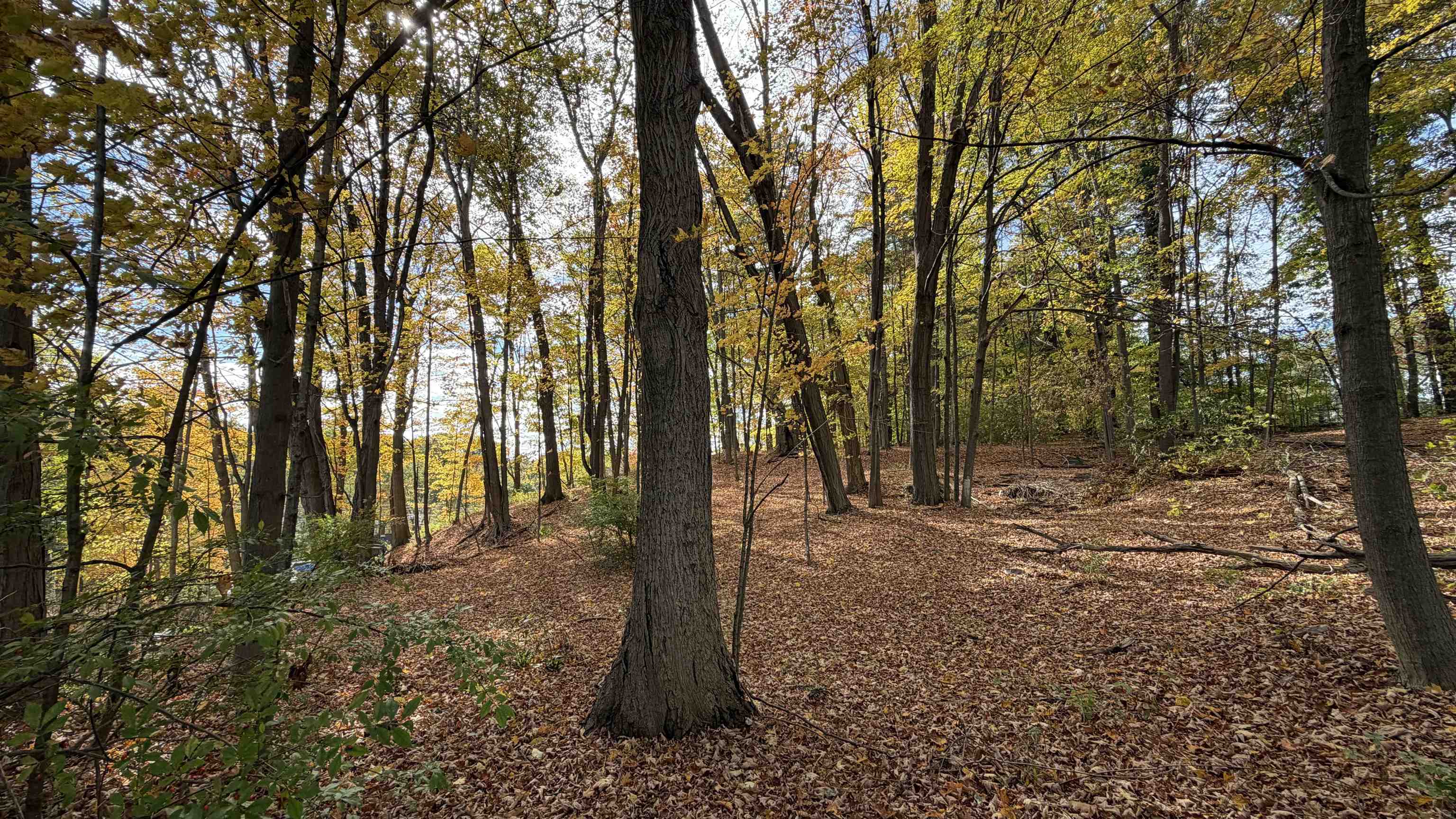 28 Maple Square Franklin, NH 03235 - Photo 43 of 52