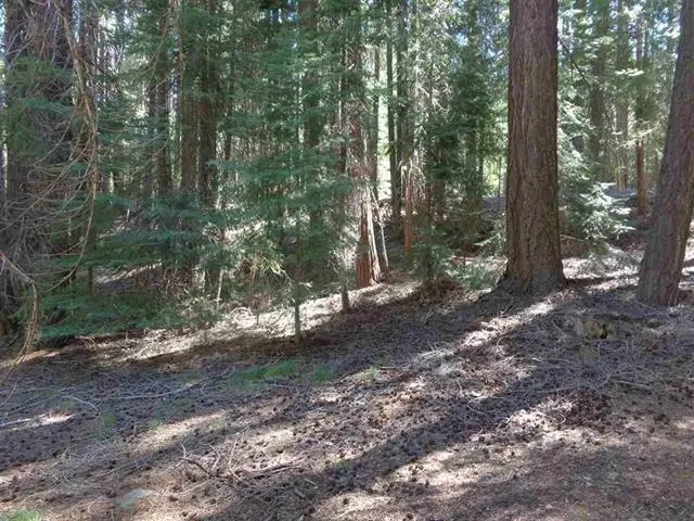 $29,500 | 429 Big Meadows Road, Canyon Dam, CA 95923