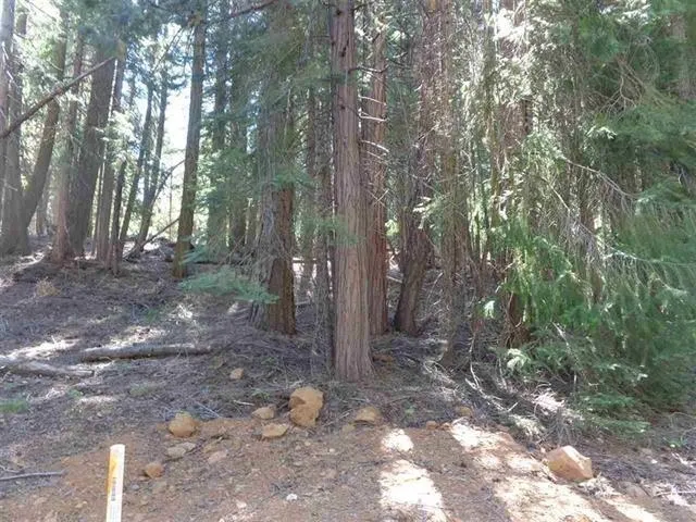 $29,500 | 429 Big Meadows Road, Canyon Dam, CA 95923