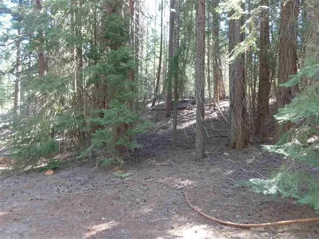 $29,500 | 429 Big Meadows Road, Canyon Dam, CA 95923