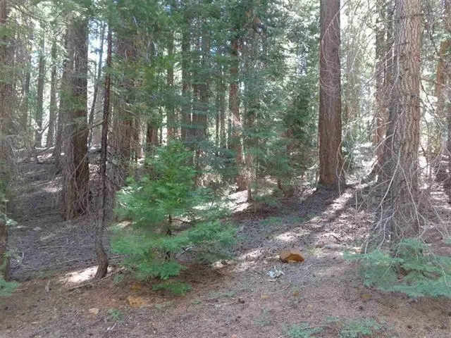 $29,500 | 429 Big Meadows Road, Canyon Dam, CA 95923