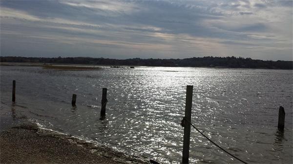 110 Salt Marsh Road Sandwich, MA 02537 - Photo 15 of 29 Gallery Image 15