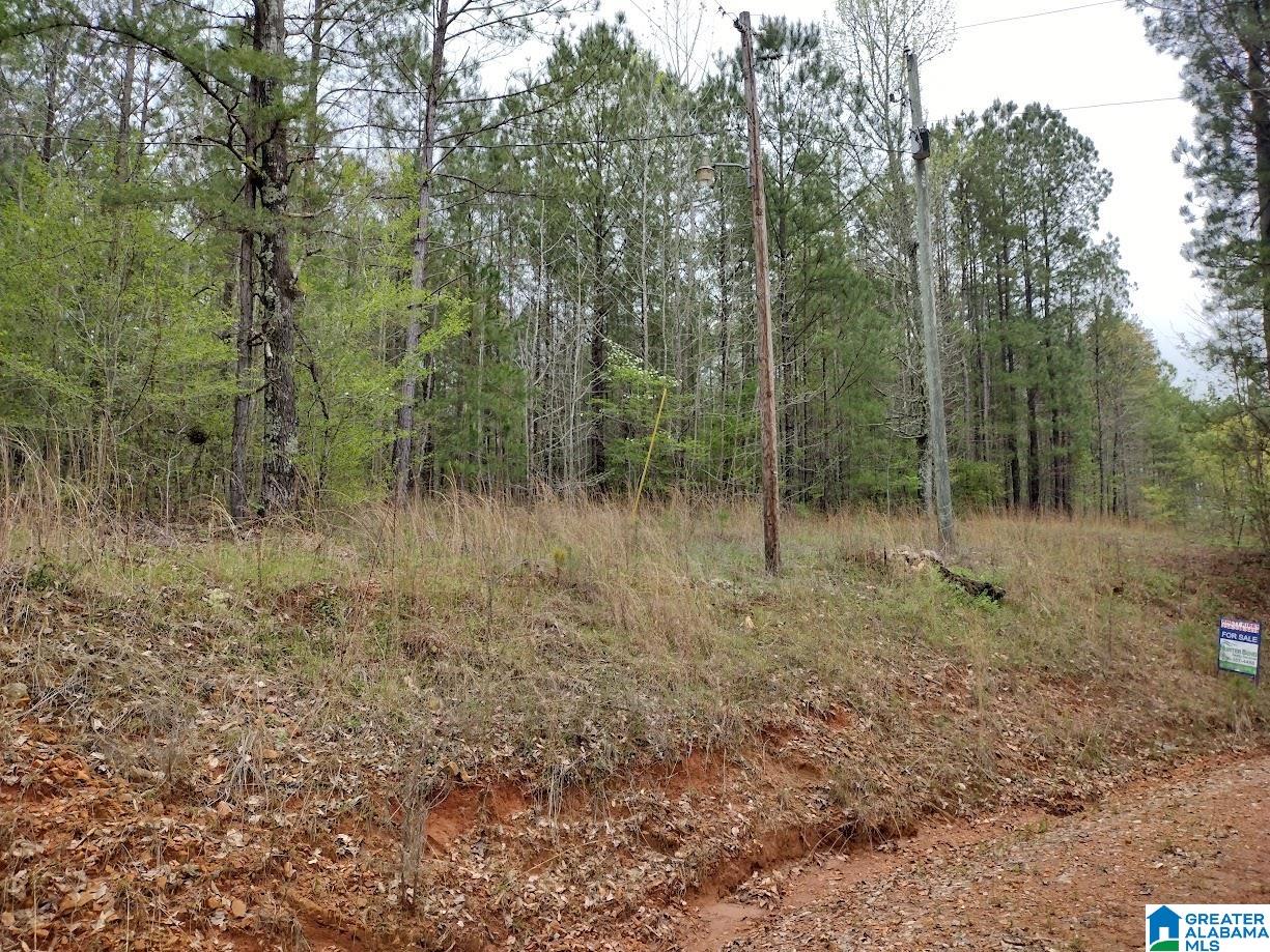 0 County Road 821 Wadley, AL 36276 - Photo 1 of 5