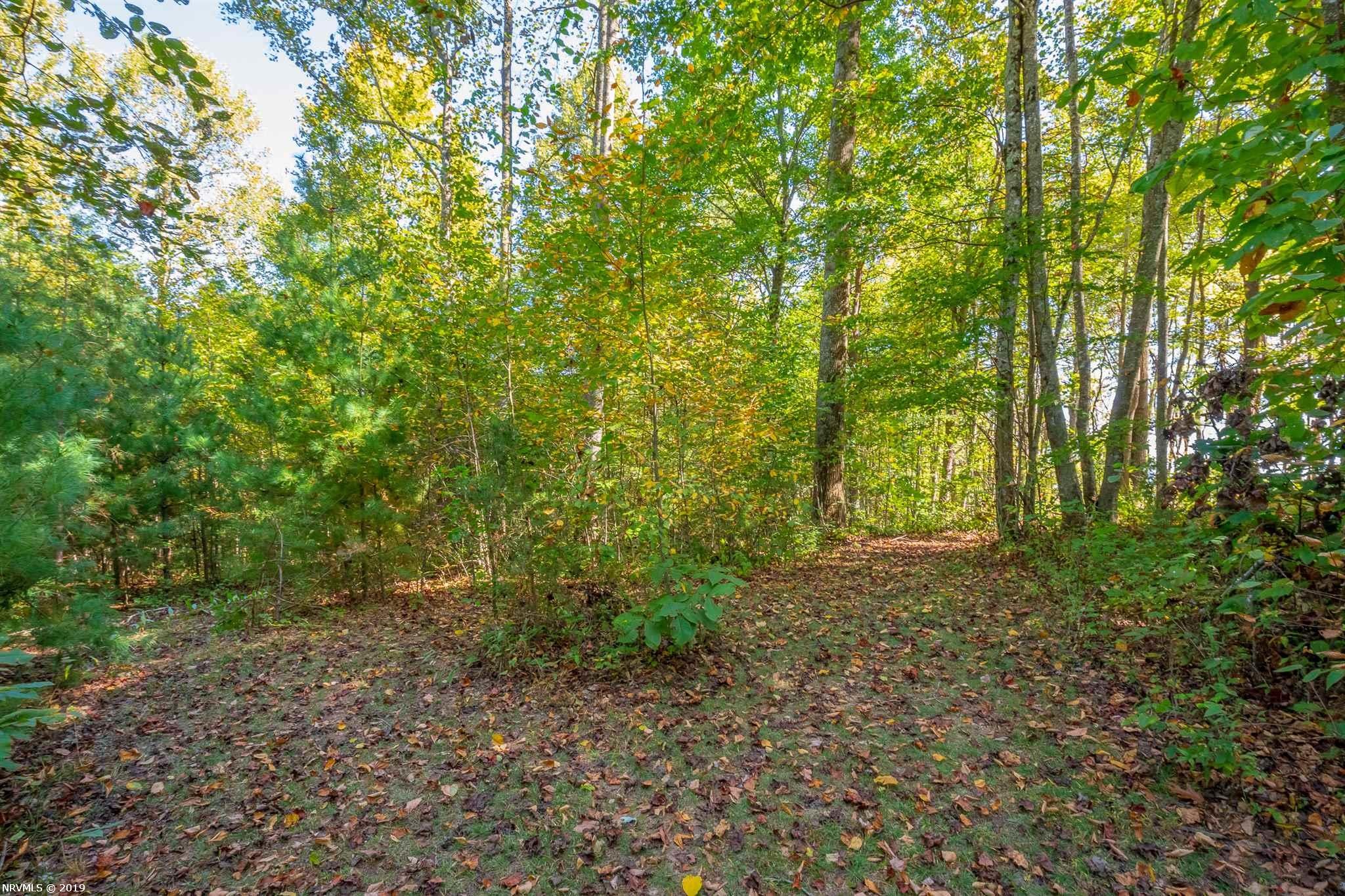 Tbd Carrollview Road Fancy Gap, VA 24328 - Photo 2 of 23 Gallery Image 2