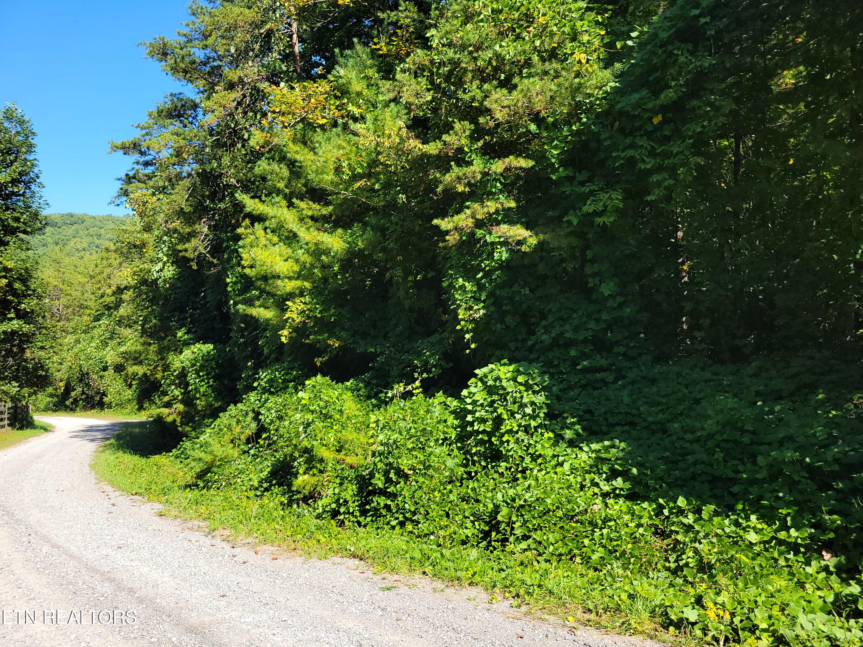 Lot 39 Sugar Maple Way Del Rio, TN 37727 - Photo 2 of 7 20250919_112128