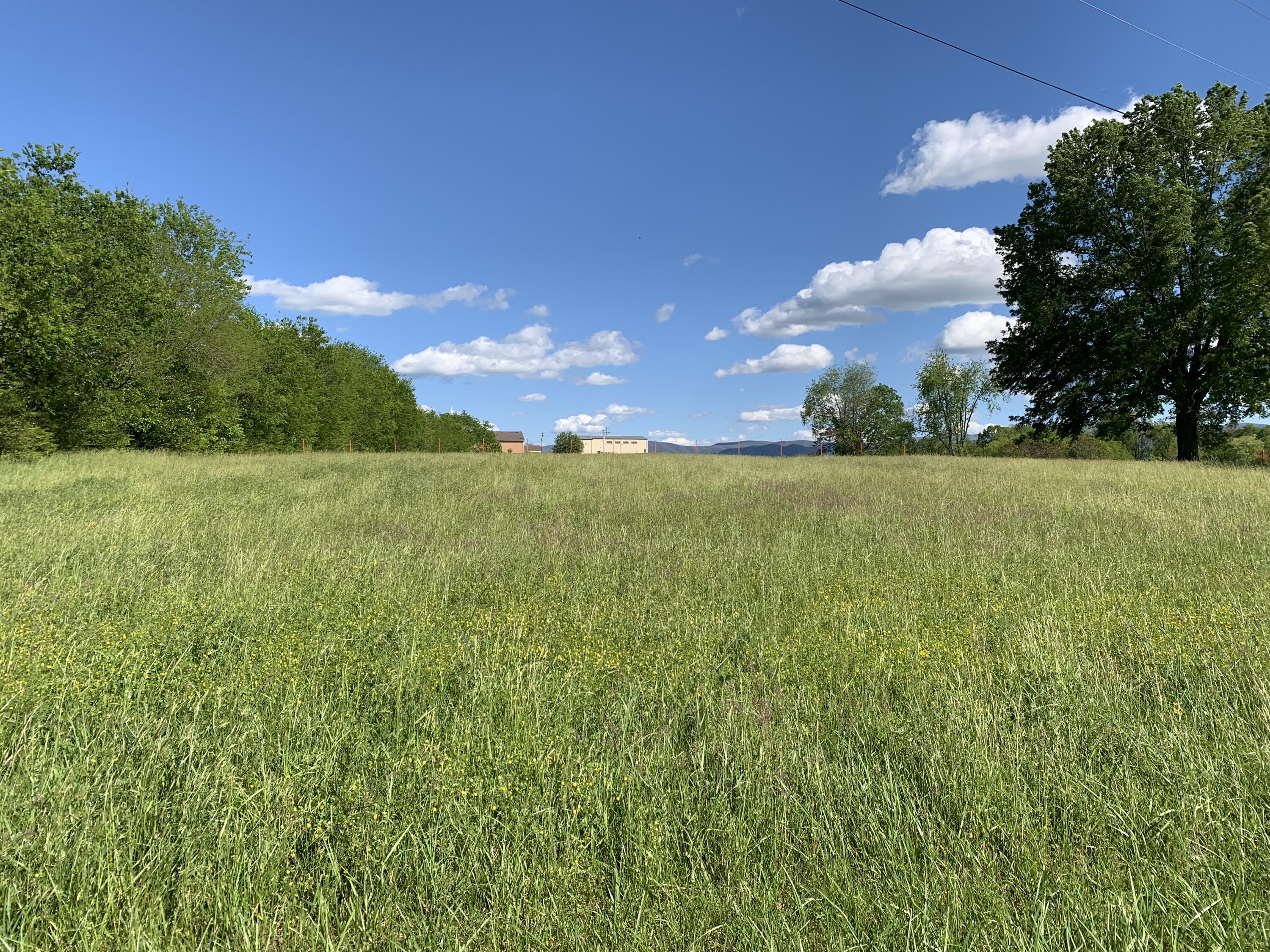 119 Dutchy Humphreys Road Limestone, TN 37681 - Photo 4 of 25 Church in distance background