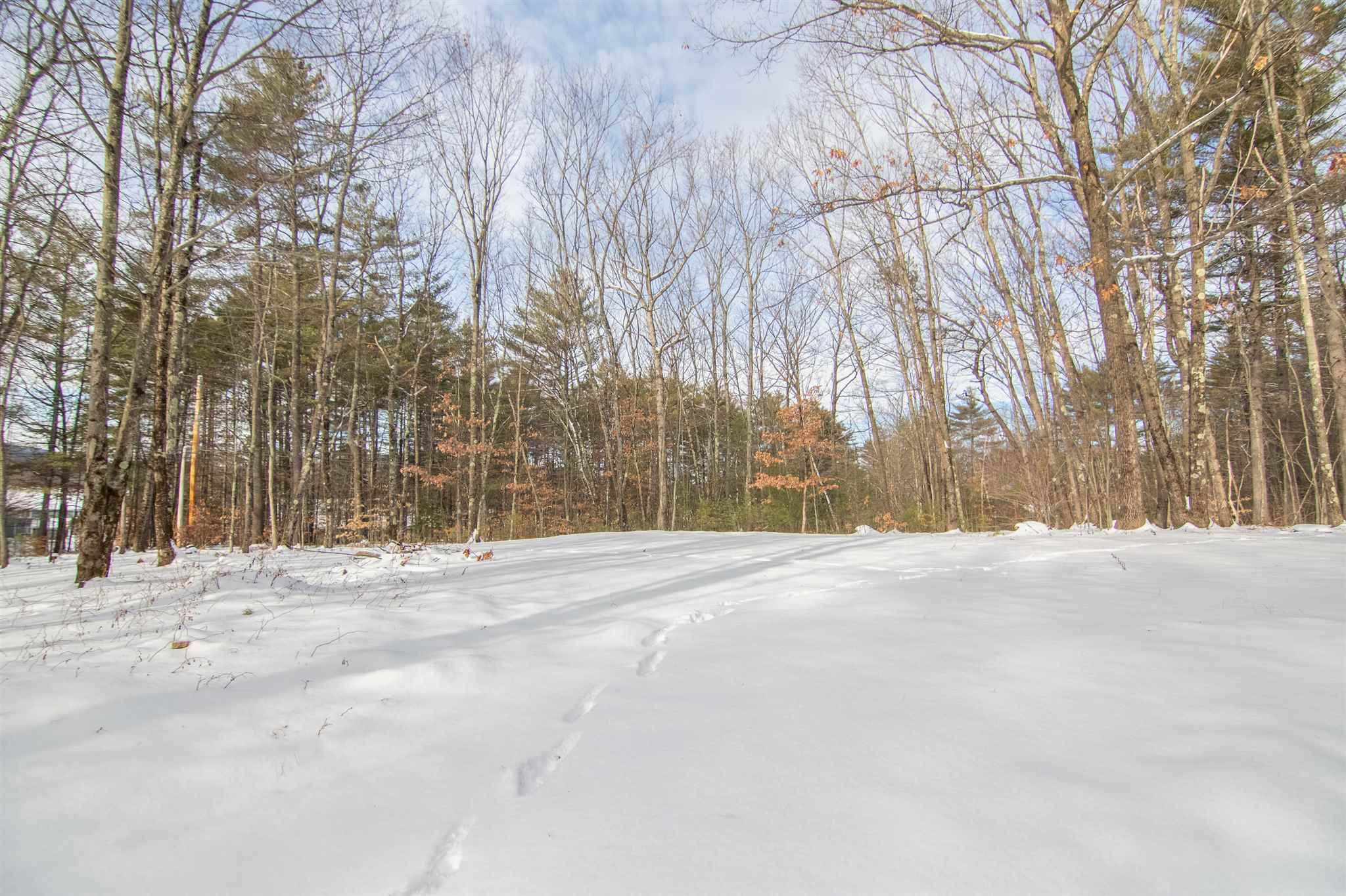 354 North Ashland Road Ashland, NH 03217 - Photo 31 of 32