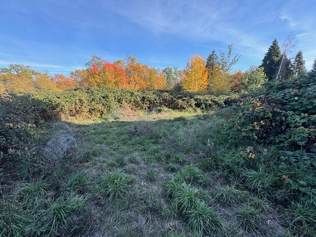2447 Southwest Allen Creek Road Grants Pass, OR 97527 - Photo 20 of 29 IMG_9012