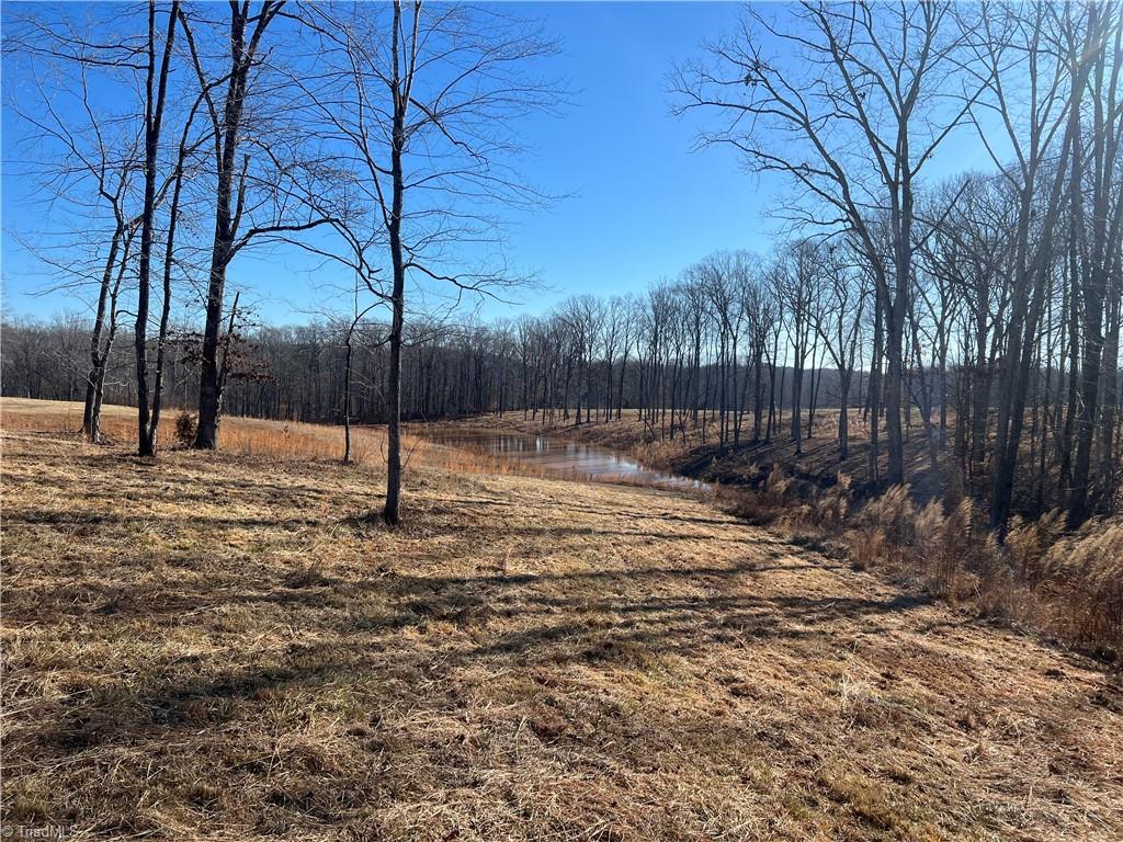 20.626-ac Simpson Road Stokesdale, NC 27357 - Photo 15 of 16 Gallery Image 15