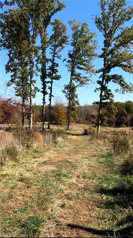 20.626-ac Simpson Road Stokesdale, NC 27357 - Photo 5 of 16 Gallery Image 5