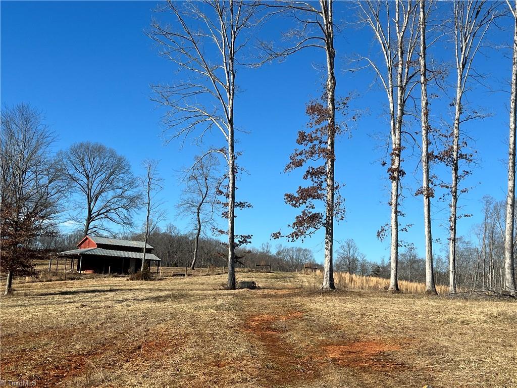 20.626-ac Simpson Road Stokesdale, NC 27357 - Photo 8 of 16 Gallery Image 8