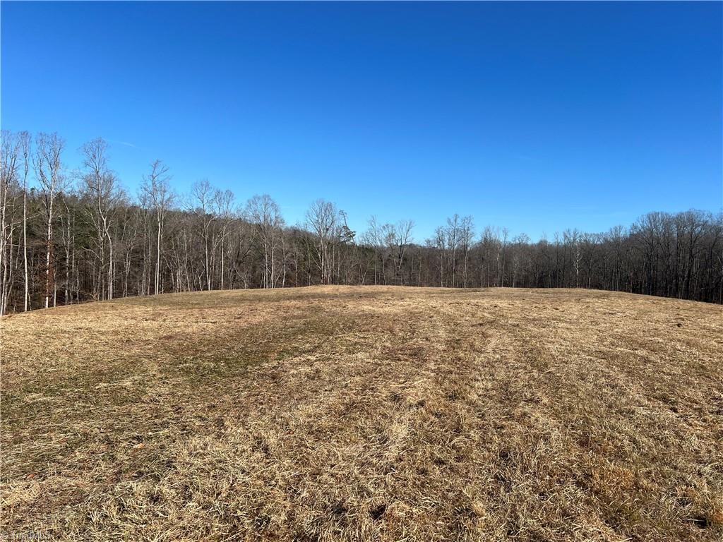 20.626-ac Simpson Road Stokesdale, NC 27357 - Photo 10 of 16 Gallery Image 10
