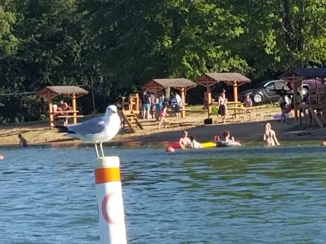 a view of a garden and basketball court