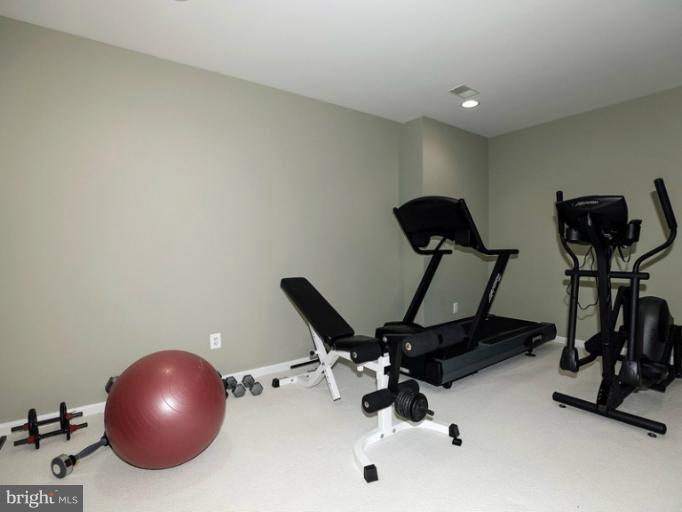 10498 Dunn Meadow Road Vienna, VA 22182 - Photo 4 of 30 Basement