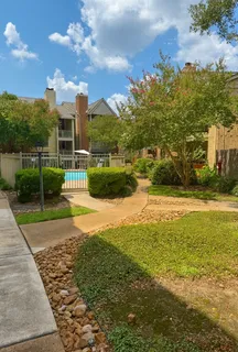 a view of a yard with plants and large trees