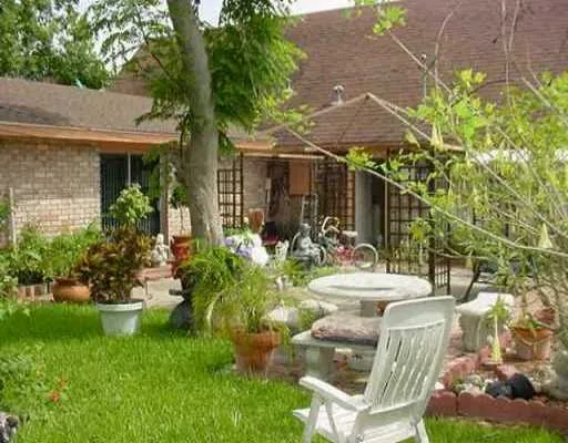 a view of a patio with table and chairs potted plants and large tree